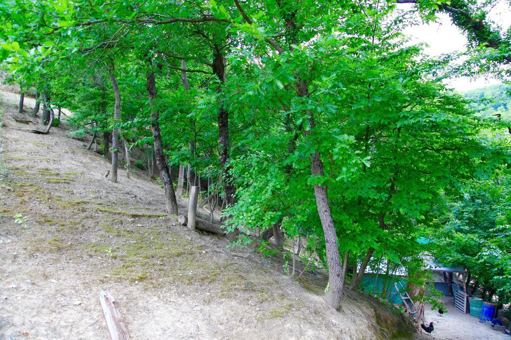 Agriturismo Biologico Villa Rosa Monte Guiduccio エクステリア 写真