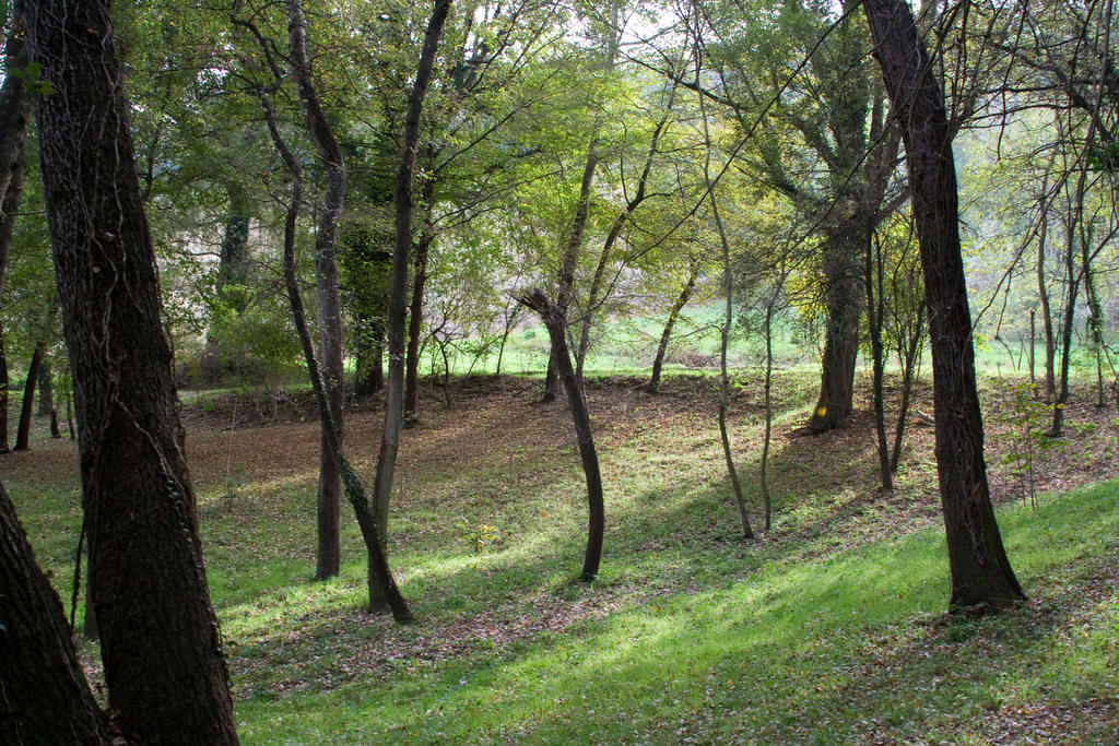 Agriturismo Biologico Villa Rosa Monte Guiduccio エクステリア 写真