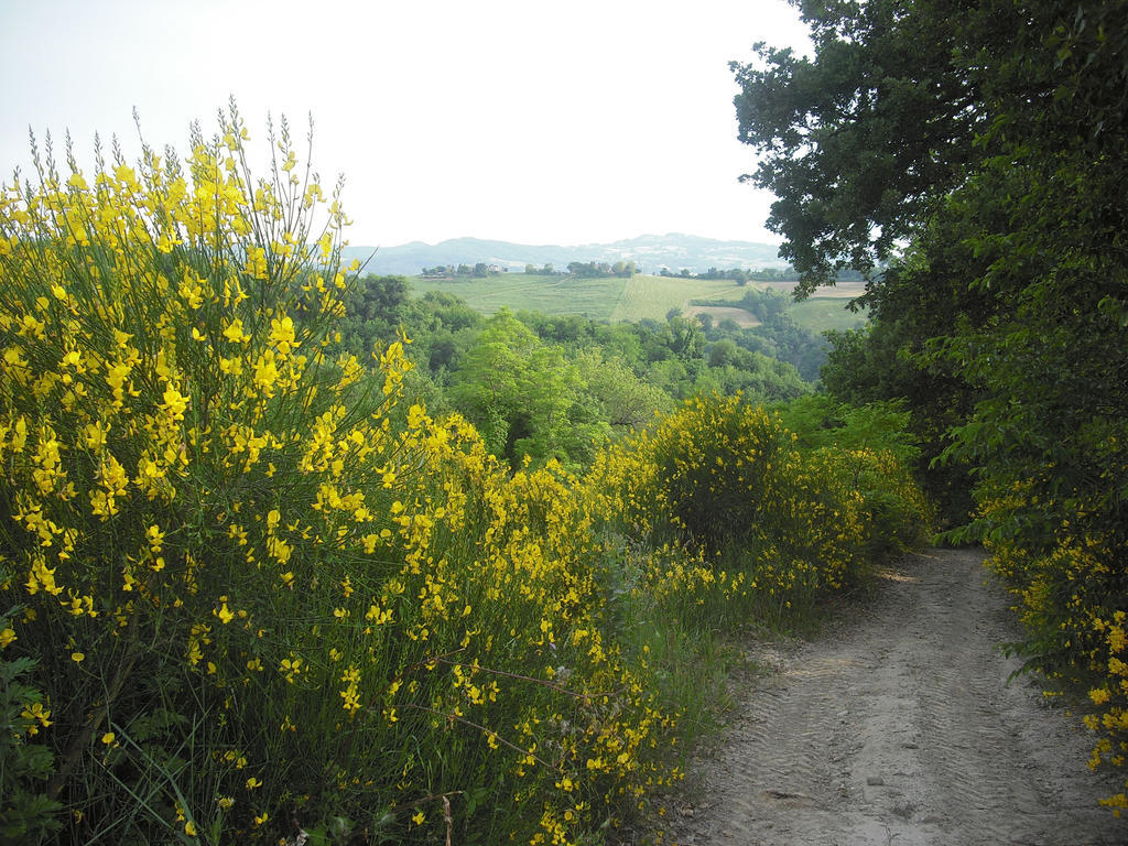 Agriturismo Biologico Villa Rosa Monte Guiduccio エクステリア 写真