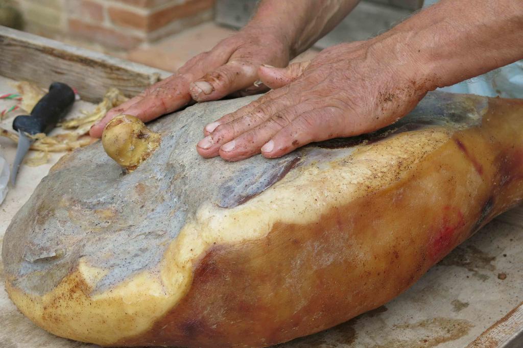 Agriturismo Biologico Villa Rosa Monte Guiduccio エクステリア 写真