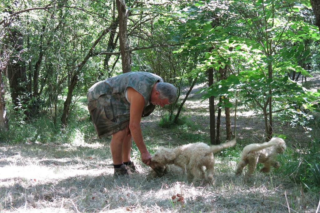 Agriturismo Biologico Villa Rosa Monte Guiduccio エクステリア 写真