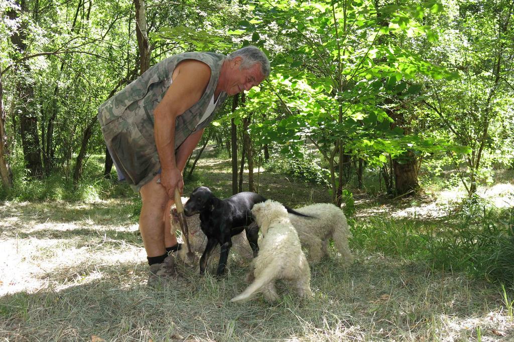 Agriturismo Biologico Villa Rosa Monte Guiduccio エクステリア 写真
